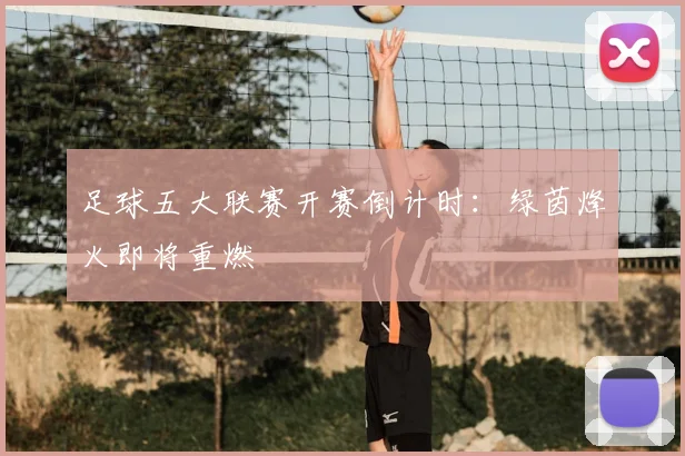 足球五大联赛开赛倒计时:绿茵烽火即将重燃