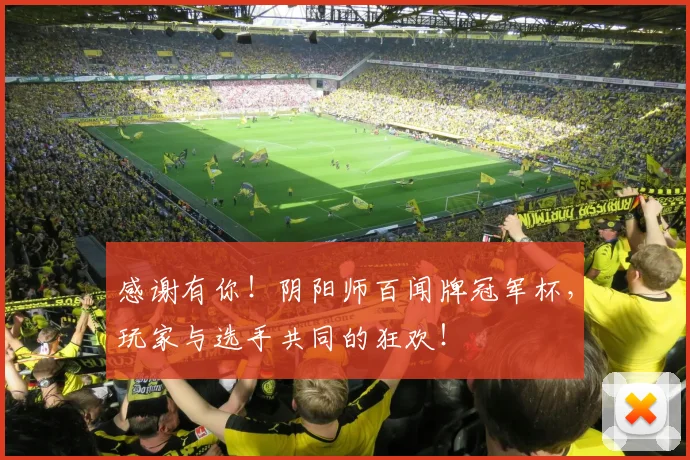 感谢有你!阴阳师百闻牌冠军杯,玩家与选手共同的狂欢!